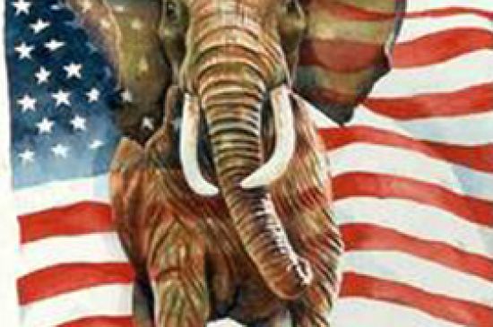 Convention to fill county commission vacancies set for Dec. 29